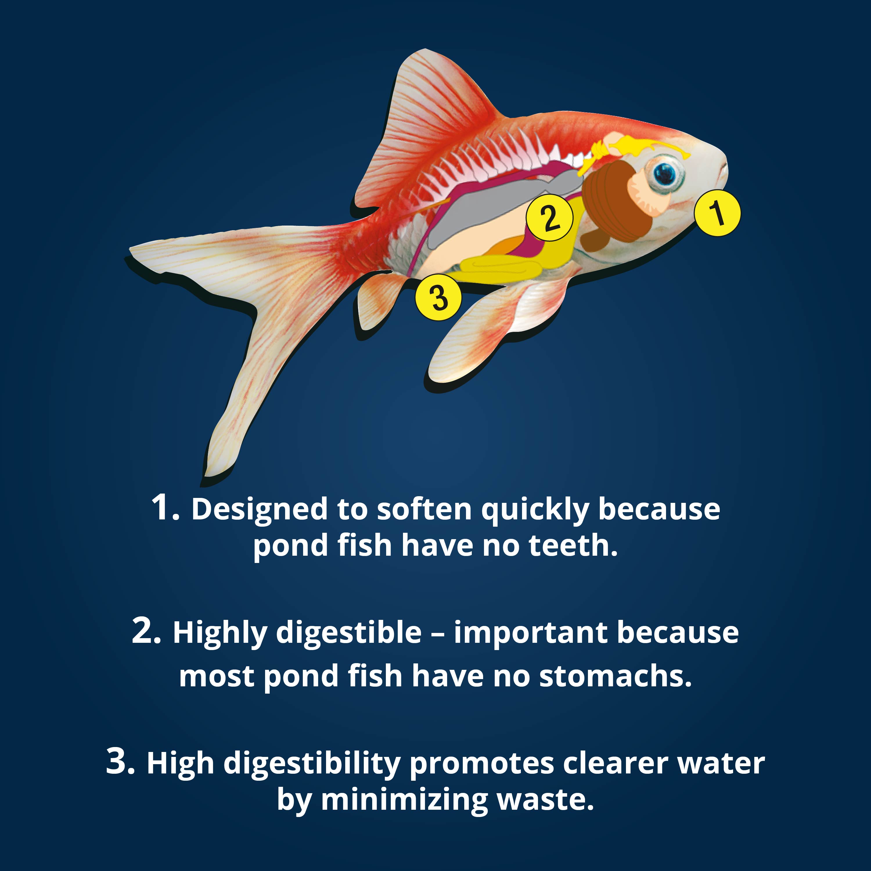 Koi Growth Food Tetra